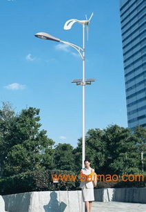 贵州安顺新农村建设飞鸟型LED太阳能路灯的全面解析